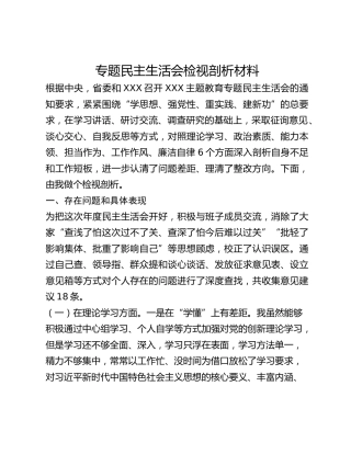 2023年主题教育专题民主生活会检视剖析材料