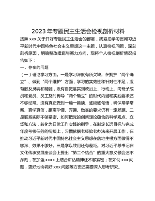 2023年主题教育专题民主生活会检视剖析材料_2