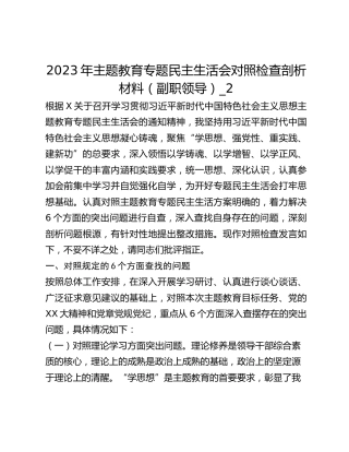 2023年主题教育专题民主生活会对照检查剖析材料（副职领导）_2