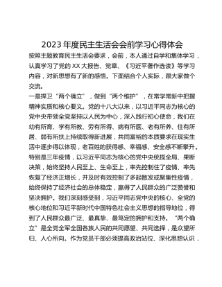 2023年度民主生活会会前学习心得体会