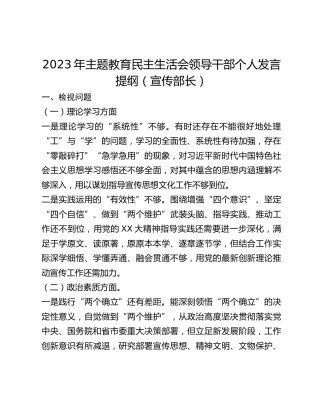 2023年主题教育民主生活会领导干部个人发言提纲（宣传部长）
