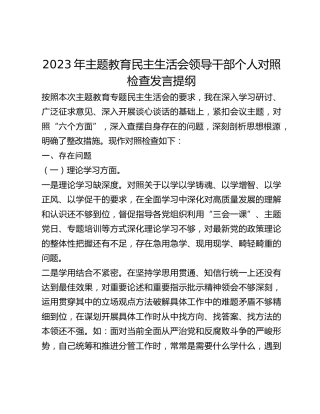2023年主题教育民主生活会领导干部个人对照检查发言提纲