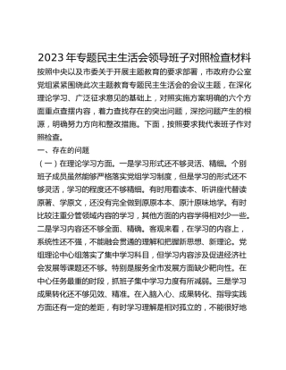 2023年专题民主生活会领导班子对照检查材料