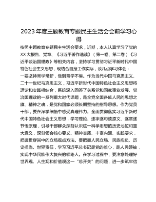 2023年度主题教育专题民主生活会会前学习心得 (2)
