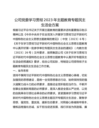 （国企公司党委）学习贯彻2023年主题教育专题民主生活会方案