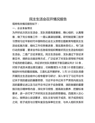 民主生活会召开情况报告