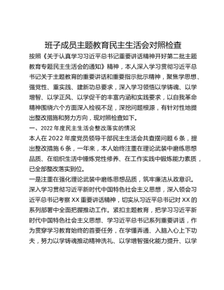 班子成员主题教育民主生活会对照检查