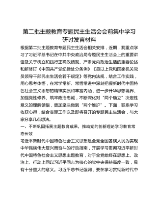 第二批主题教育专题民主生活会会前集中学习研讨发言材料