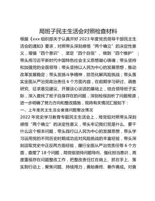 局班子民主生活会对照检查材料