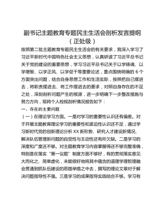副书记主题教育专题民主生活会剖析发言提纲（正处级）