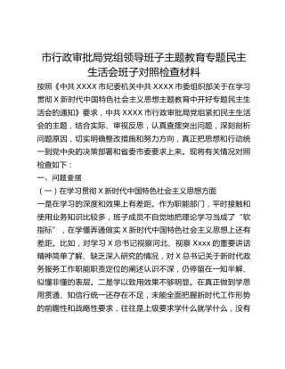 市行政审批局党组领导班子主题教育专题民主生活会班子对照检查材料