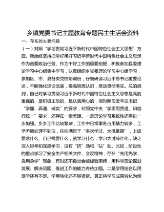 乡镇党委书记主题教育专题民主生活会资料