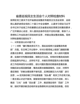 省委巡视民主生活会个人对照检查材料