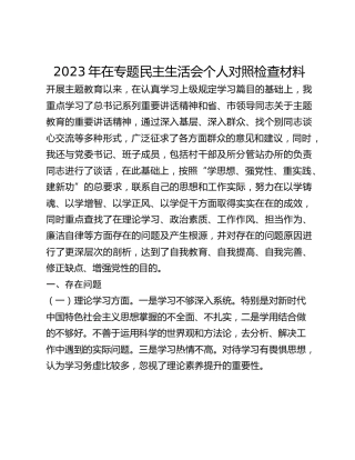 专题民主生活会个人对照检查材料_2