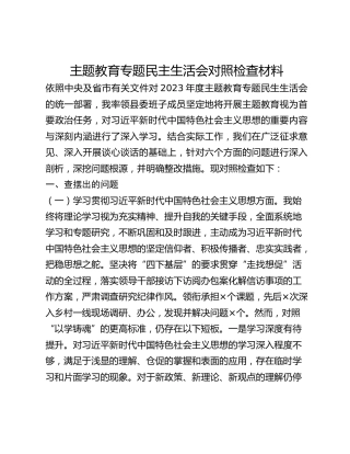 主题教育专题民主生活会对照检查材料(2)