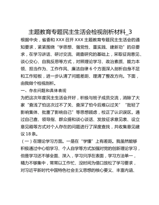 主题教育专题民主生活会检视剖析材料_3
