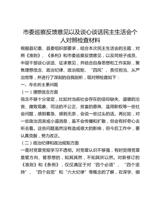 市委巡察反馈意见以及谈心谈话民主生活会个人对照检查材料 (2)