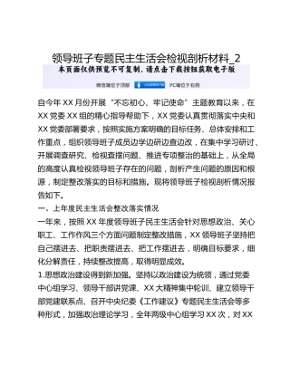 领导班子专题民主生活会检视剖析材料_2
