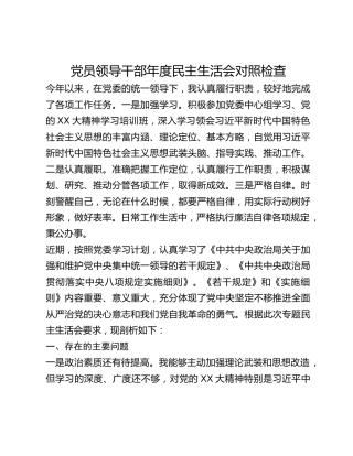 党员领导干部年度民主生活会对照检查 (2)