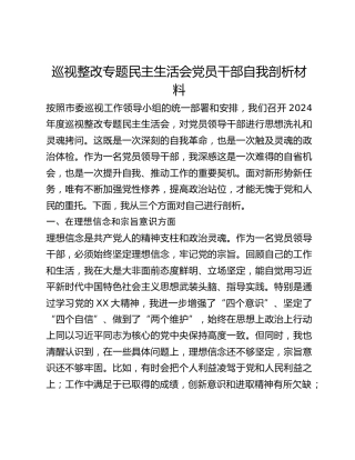巡视整改专题民主生活会党员干部自我剖析材料 (2)