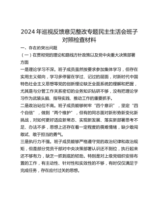 2024年巡视反馈意见整改专题民主生活会班子对照检查材料 (2)