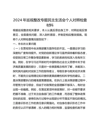 2024年巡视整改专题民主生活会个人对照检查材料1
