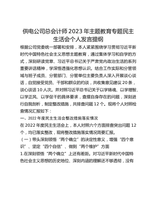 供电公司总会计师2023年主题教育专题民主生活会个人发言提纲