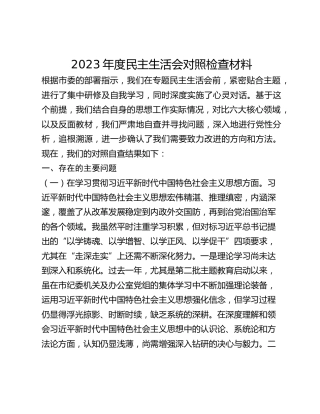 2023年度民主生活会对照检查材料