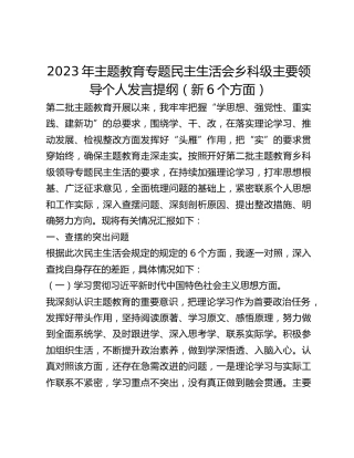 2023年主题教育专题民主生活会乡科级主要领导个人发言提纲（新6个方面）