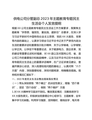 供电公司分管副总2023年主题教育专题民主生活会个人发言提纲