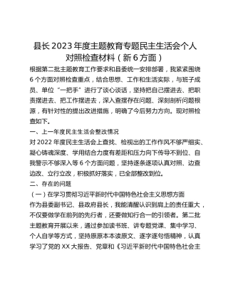 县长2023年度主题教育专题民主生活会个人对照检查材料（新6方面）