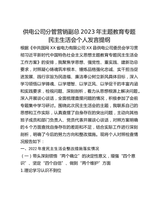 供电公司分管营销副总2023年主题教育专题民主生活会个人发言提纲