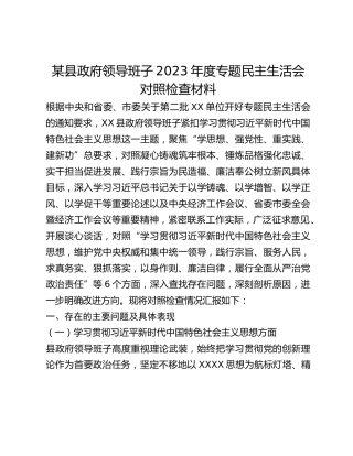 某县政府领导班子2023年度专题民主生活会对照检查材料
