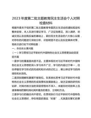 2023年度第二批主题教育民主生活会个人对照检查材料 (2)