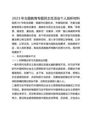2023年主题教育专题民主生活会个人剖析材料 (2)