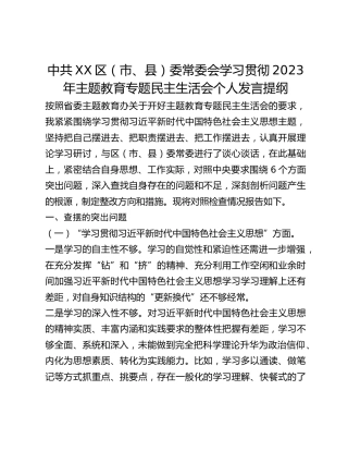 中共XX区（市、县）委常委会学习贯彻2023年主题教育专题民主生活会个人发言提纲