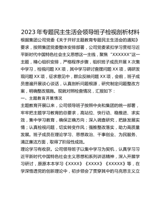 2023年专题民主生活会领导班子检视剖析材料