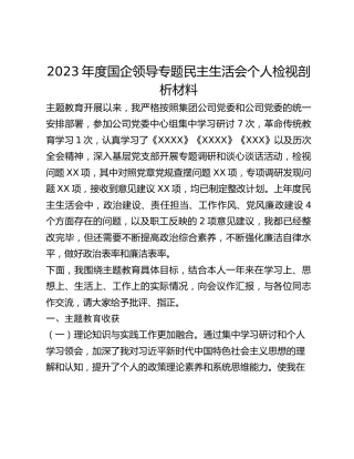 2023年度国企领导专题民主生活会个人检视剖析材料