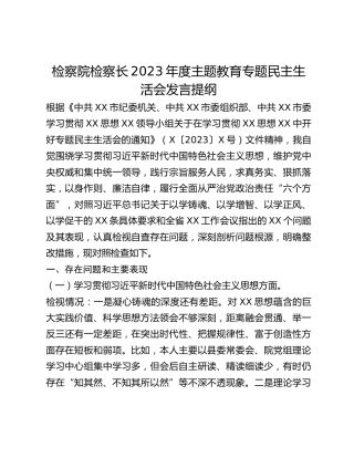 检察院检察长2023年度主题教育专题民主生活会发言提纲