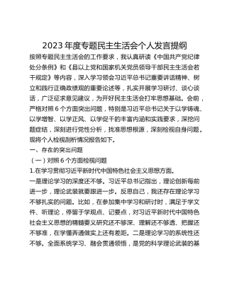 2023年度专题民主生活会个人发言提纲