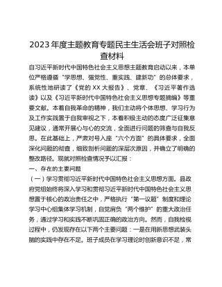 2023年度主题教育专题民主生活会班子对照检查材料 (2)