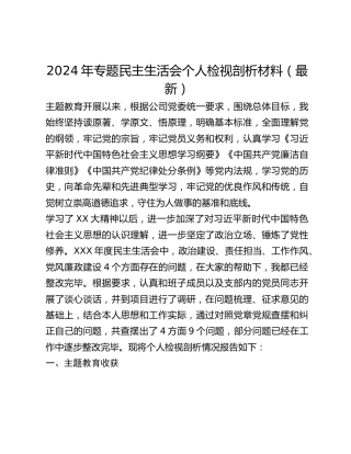 2024年专题民主生活会个人检视剖析材料（最新）