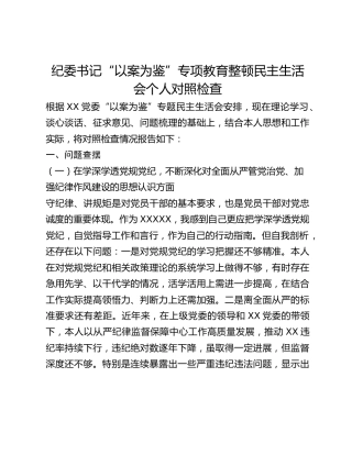 纪委书记“以案为鉴”专项教育整顿民主生活会个人对照检查