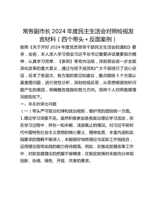 常务副市长2024年度民主生活会对照检视发言材料