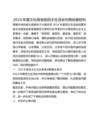 2024年度文化局党组民主生活会对照检查材料