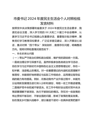 市委书记2024年度民主生活会个人对照检视发言材料