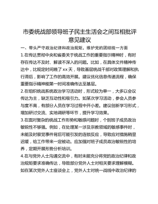 市委统战部领导班子民主生活会之间互相批评意见建议