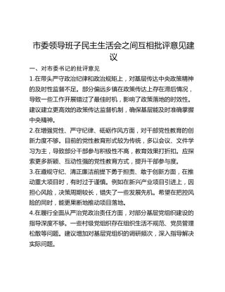 市委领导班子民主生活会之间互相批评意见建议