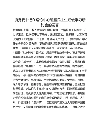镇党委书记在理论中心组暨民主生活会学习研讨会的发言
