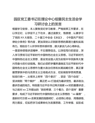 园区党工委书记在理论中心组暨民主生活会学习研讨会上的发言